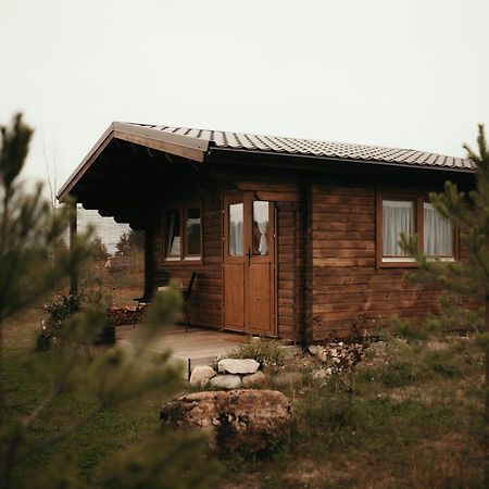 Ambercoast Villa Jurmala Exterior photo